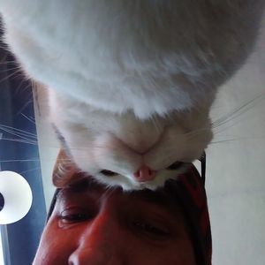 Meet your Posher, Terry